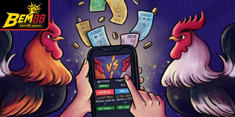 Áp dụng mẹo chơi đá gà online giúp bạn tăng tỷ lệ thắng