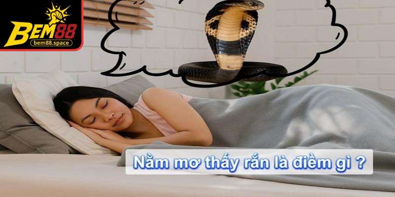 Nằm mơ thấy rắn gắn liền với nhiều thông điệp và ý nghĩa tâm linh